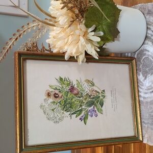 Botanical "Witches Herbs" Print By Anna Ophelia Dowden Vintage 1973